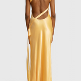 Lucra Maxi Dress with Diagonal Straps and Open Back