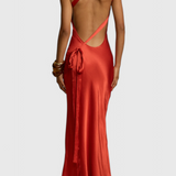 Lucra Maxi Dress with Diagonal Straps and Open Back