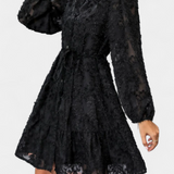 Soreia Button-Up Shirt Dress with Long Textured Sleeves