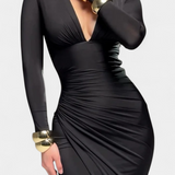 Freda Long Sleeve Dress with V-Neck and Pleats