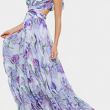 Shazia Long Printed Dress with Open Back