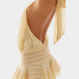 Azucena Mini Dress with Open Back and Pleated Waist