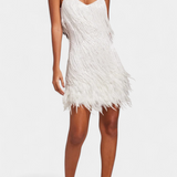 Sheril Mini Feather Dress