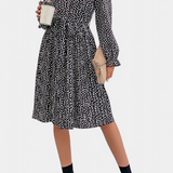 Evabeth Leopard Print Pleated Midi Dress