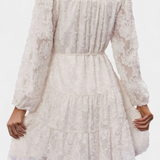 Soreia Button-Up Shirt Dress with Long Textured Sleeves