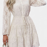 Soreia Button-Up Shirt Dress with Long Textured Sleeves