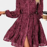 Soreia Button-Up Shirt Dress with Long Textured Sleeves