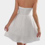 Kassandra Mini Dress Halter with Open Back and Flared Silhouette